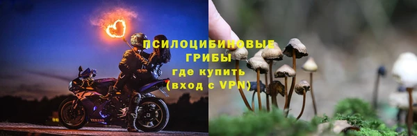 соль ск Армянск