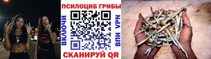 Галлюциногенные грибы MAGIC MUSHROOMS  omg как войти  Дегтярск 